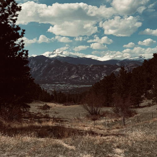 Vintergrav : The Frozen Summit